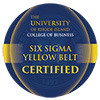 Office of Strategic Initiatives